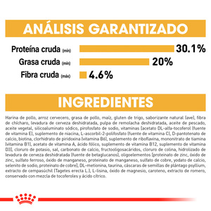 Royal Canin Alimento Seco para Gatito Persa Receta Pollo, 1.3 kg