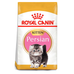 Royal Canin Alimento Seco para Gatito Persa Receta Pollo, 1.3 kg