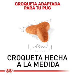 Royal Canin Alimento Seco para Cachorro Raza Pug, 1.1 kg