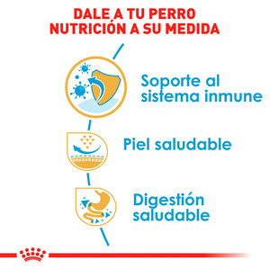 Royal Canin Alimento Seco para Cachorro Raza Pug, 1.1 kg