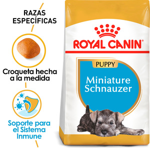 Royal Canin Alimento Seco para Cachorro Raza Schnauzer Miniatura, 1.1 kg