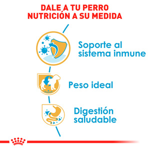 Royal Canin Alimento Seco para Cachorro Raza Schnauzer Miniatura, 1.1 kg
