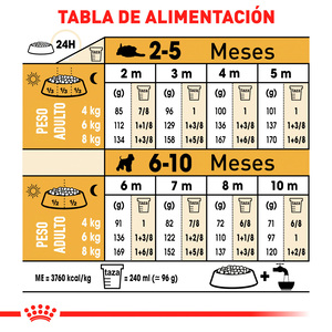 Royal Canin Alimento Seco para Cachorro Raza Schnauzer Miniatura, 1.1 kg