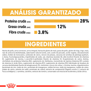 Royal Canin Alimento Seco para Cachorro Raza Schnauzer Miniatura, 1.1 kg