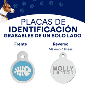 Hillman Group Placa de Identificación Circular Grabable Diseño Pescado Azul para Gato, Chico