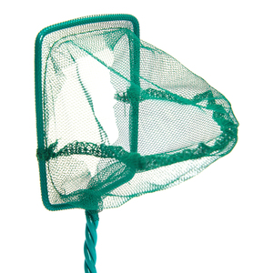 Boyu Red para Acuario, Chico