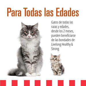 Livelong Healthy & Strong Alimento Natural Húmedo para Gato Todas las Edades Receta Delicias de Aves, 156 g