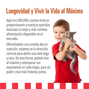 Livelong Healthy & Strong Alimento Natural Húmedo para Gato Todas las Edades Receta Delicias de Aves, 156 g