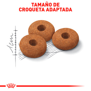Royal Canin Control de Apetito Alimento Seco para Gato Adulto Esterilizado Receta Pollo, 6.3 kg