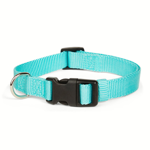 Good2Go Collar de Nylon Color Turquesa con Broche para Perro, Grande/X-Grande Good2Go Collar de Nylon Color Turquesa con Broche para Perro, Grande/X-Grande