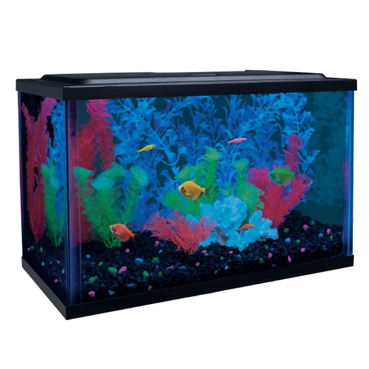 Glofish Kit de Acuario con Luz Led y Filtro Incluido para Peces, 18.9 L