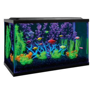 Glofish Acuario Glo Kit para Peces, 37.8 L Glofish Acuario Glo Kit para Peces, 37.8 L