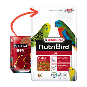 Versele-Laga NutriBird B14 Alimento Balanceado para Periquitos, 800 g Versele-Laga NutriBird B14 Alimento Balanceado para Periquitos, 800 g