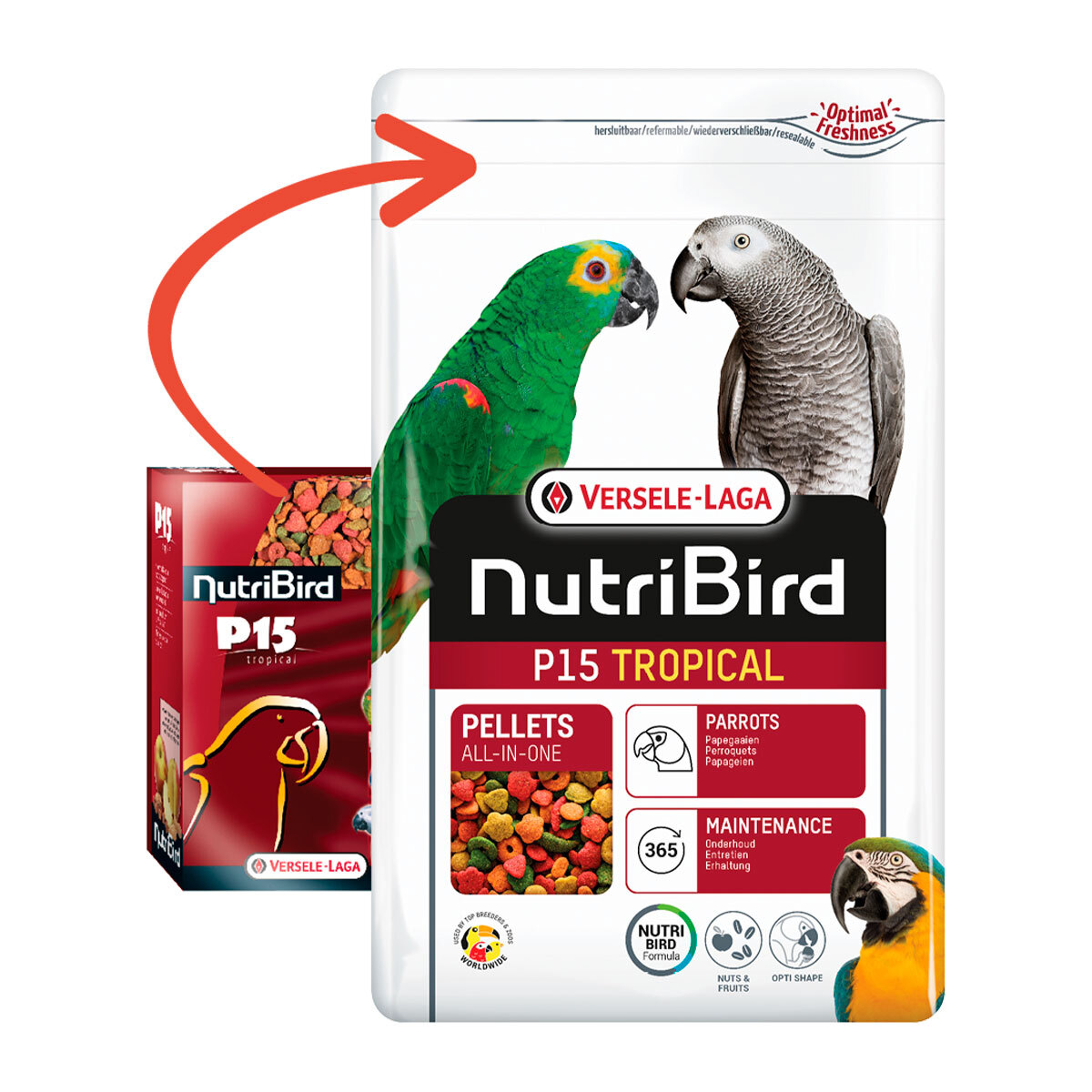 Versele-Laga NutriBird P15 Tropical Alimento para Loros y Psitácidos, 1 kg