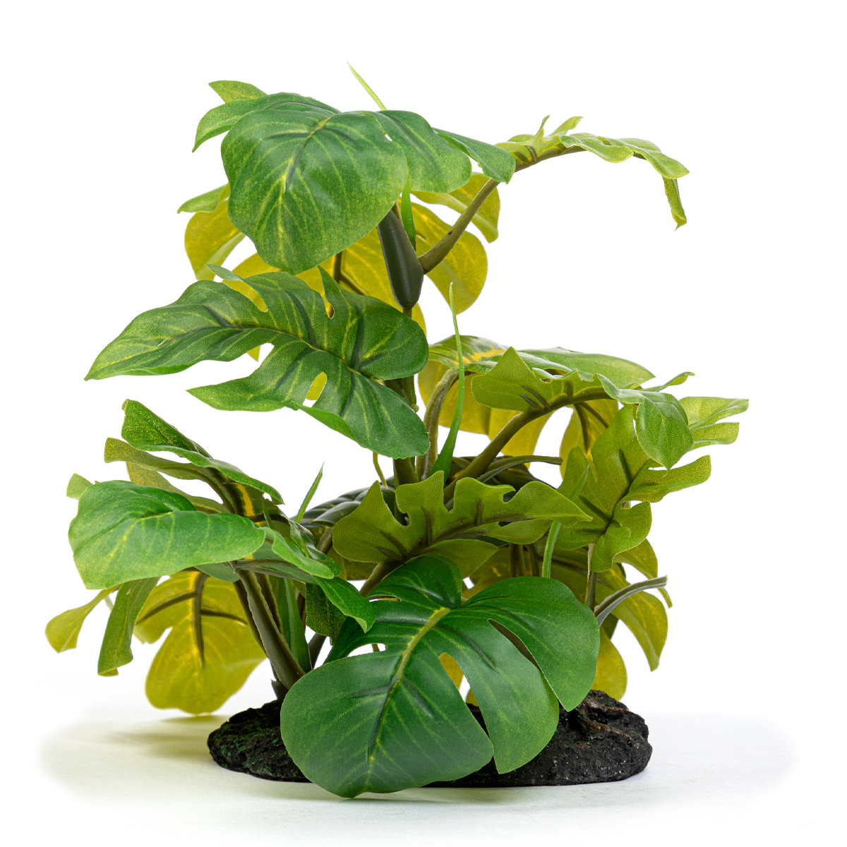 Imagitarium Decoración Planta Arácea para Terrario
