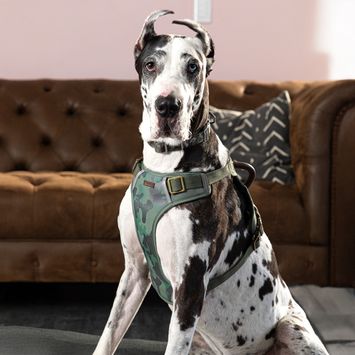 Reddy Arnés Reflejante Diseño Camuflaje Ajuste Romano para Perro, Verde
