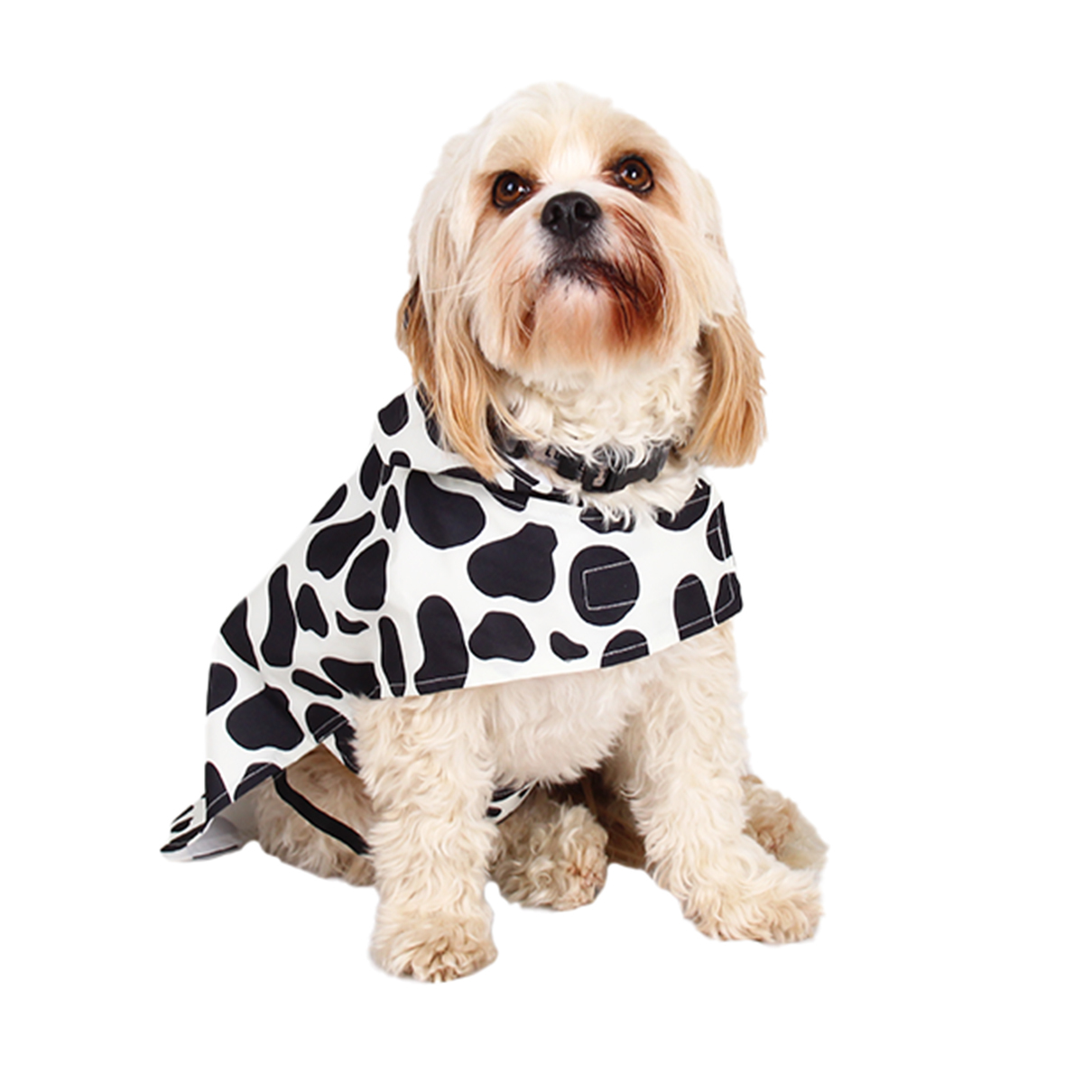 Latipaw Farm Collection Impermeable Diseño Vaquita para Perro, Mediano