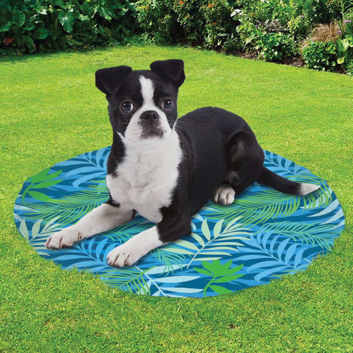 Unique Petz Cooling Tapete Redondo con Gel Diseño Verano Botánico Azul para Perro, Chico