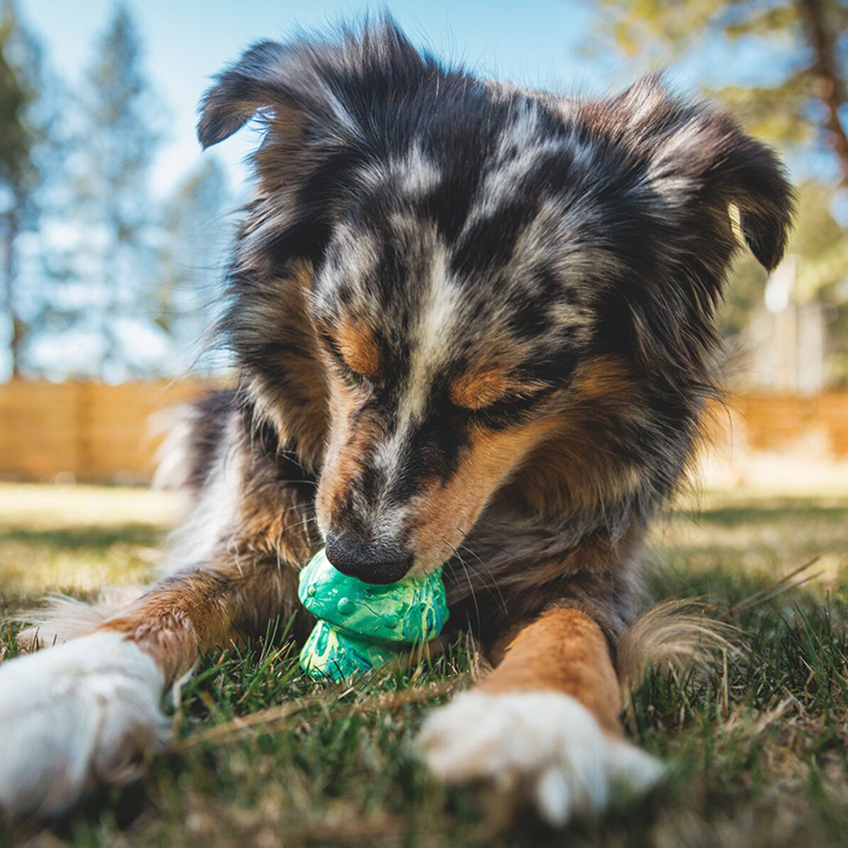 Ruffwear Toadstool Juguete Dispensador de Premios Diseño Hongo Color Verde para Perro, Chico