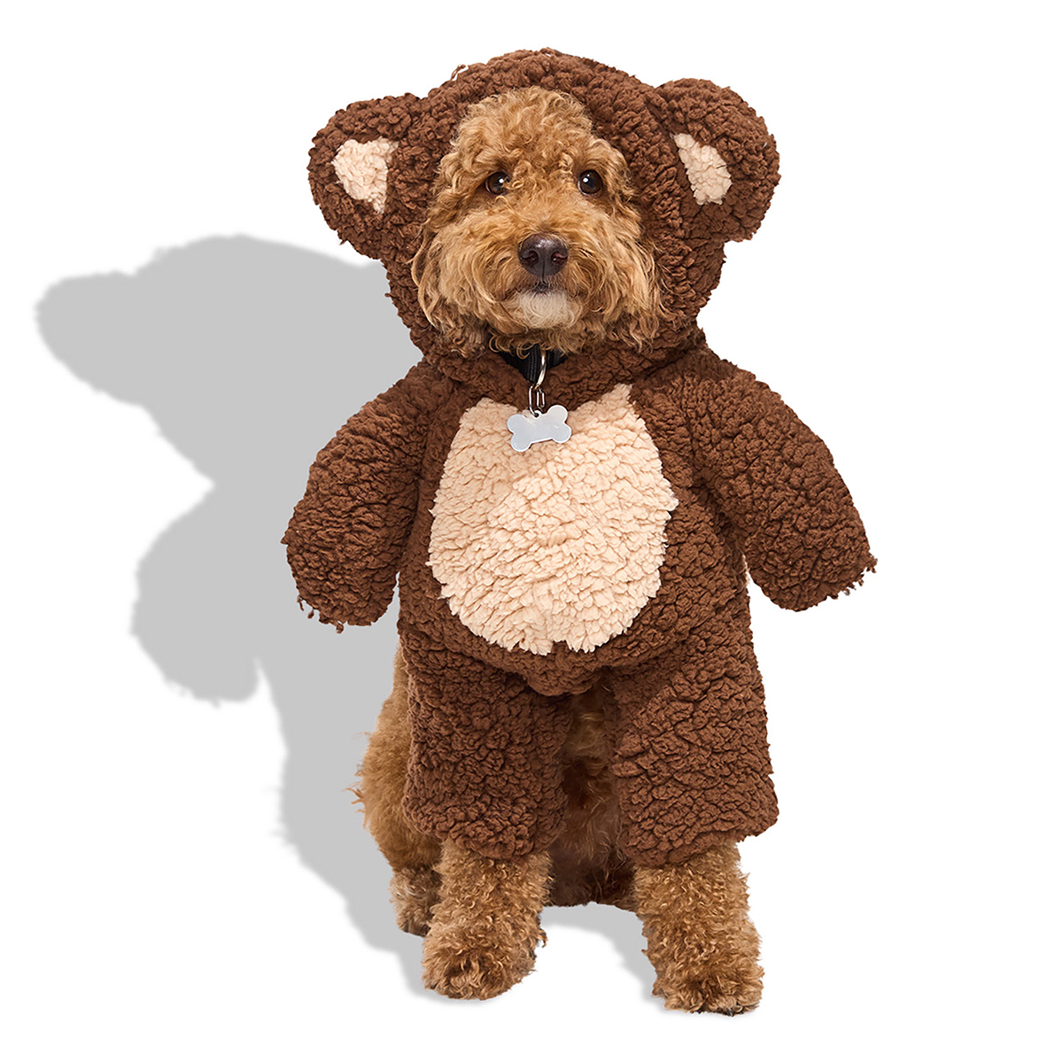 Bootique Halloween Disfraz Osito para Perro, Chico