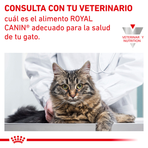Royal Canin Prescripción Alimento Húmedo Soporte Renal D para Gato Adulto Receta Trozos en Gravy, 85 g