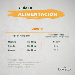 Lideratto Alimento Natural Holístico para Perro Adulto Raza Mediana/Grande Receta Pollo y Salmón, 15 kg