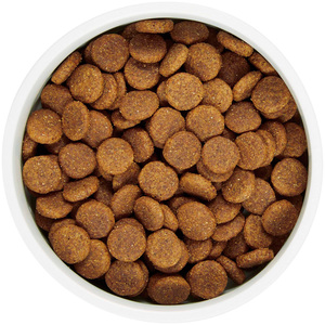 WholeHearted Libre de Granos Alimento Natural para Perro Todas las Edades Receta Salmón y Chícharo, 11 kg