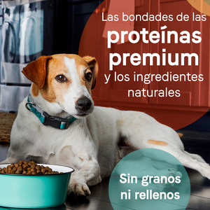 Canidae Pure Alimento Natural sin Granos para Perro Adulto Receta Cordero y Chícharo, 10.8 kg