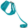 Good2Go Set Arnés de Malla y Correa para Gato Color Aqua Good2Go Set Arnés de Malla y Correa para Gato Color Aqua