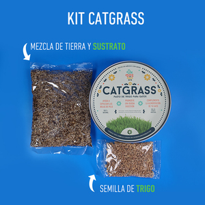 Un Dos Treats Catgrass Kit de Germinación para Pasto de Trigo para Gato