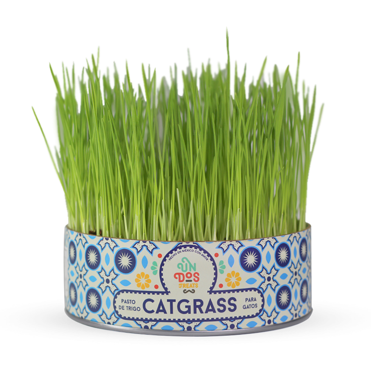 Un Dos Treats Catgrass Kit de Germinación para Pasto de Trigo para Gato