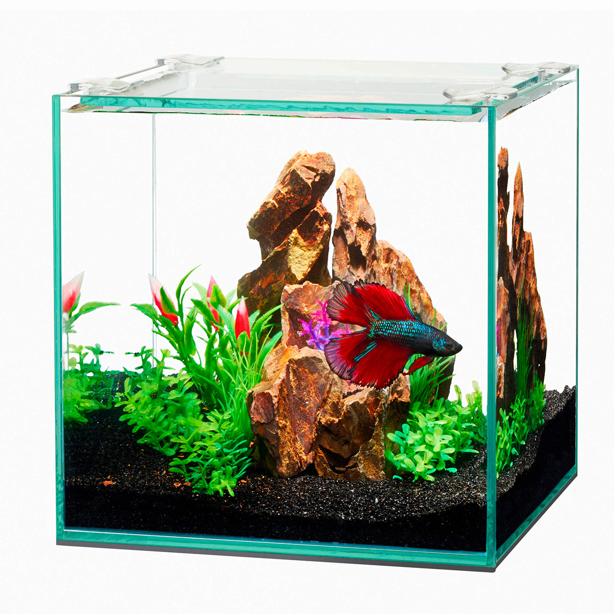 Aqueon Acuario Aqua Frameles S3 para Peces, 11.35 L