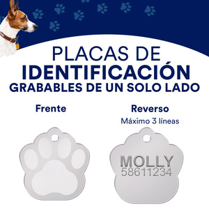 Hillman Group Placa de Identificación Diseño Huellita Cromo para Perro, Chico