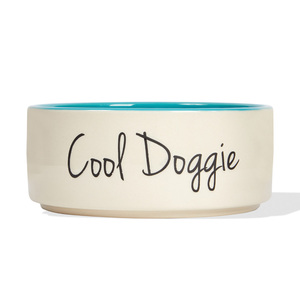 Pet Rageous Tazón de Cerámica Cool Doggie Azul, 4 Tazas