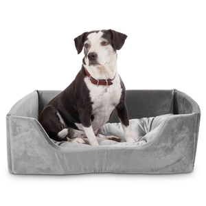 EveryYay Snooze Fest Cama Rectangular con Bordes Elevados Color Gris para Perro, Mediano EveryYay Snooze Fest Cama Rectangular con Bordes Elevados Color Gris para Perro, Mediano