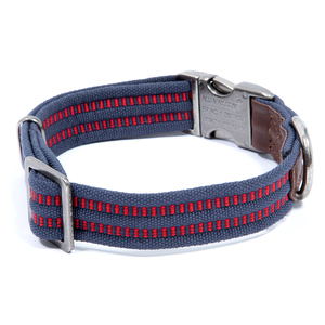 Reddy Collar Plano Ajustable Color Azul/ Rojo con Broche de Aluminio Niquelado para Perro, Chico