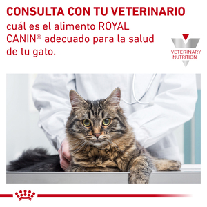 Royal Canin Prescripción Alimento Seco Soporte de Saciedad para Gato Adulto, 8 kg