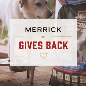 Merrick Grain Free Grammy's Pot Pie Alimento Húmedo Natural sin Granos para Perro de Todas las Etapas de Vida y Tamaños Receta de Pollo, 360 g