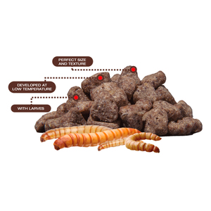 Cunipic Alimento Pelletizado para Erizos a Base de Insectos, 1 kg