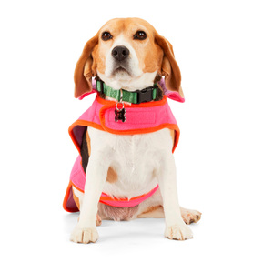 Youly Capa Reversible Modelo Cozy Rosa para Perro, XX-Grande/XXX-Grande Youly Capa Reversible Modelo Cozy Rosa para Perro, XX-Grande/XXX-Grande