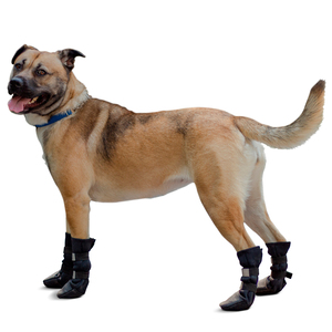 Walkin' Pets Pet Boots Botas de Protección para Patas para Perro, Mediano