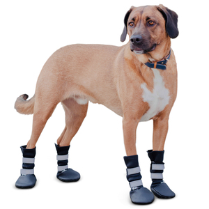 Walkin' Pets Pet Boots Botas de Protección para Patas para Perro, Grande