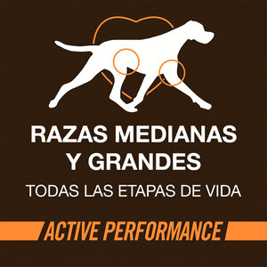 WholeHearted Active Performance Alimento para Perro Activo Todas las Edades Receta Pollo y Arroz, 20.4 kg