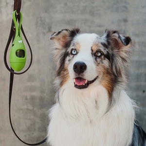 Earth Rated Dispensador de Bolsas Compostables para Desechos de Perro, Verde