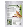 Terraria Formula Lizard Insectívora Pie Suplemento para Lagartos Insectívoros, 60 g