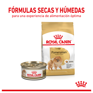 Royal Canin Alimento Seco para Perro Adulto Raza Pomerania, 4.54 kg