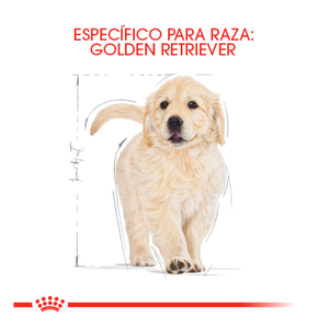 Royal Canin Alimento Seco para Cachorro Raza Golden Retriever, 13.6 kg