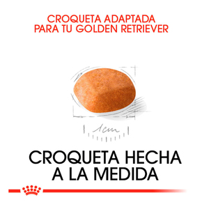 Royal Canin Alimento Seco para Cachorro Raza Golden Retriever, 13.6 kg