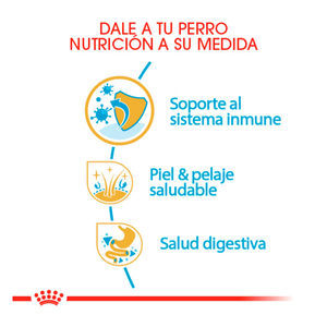 Royal Canin Alimento Seco para Cachorro Raza Golden Retriever, 13.6 kg