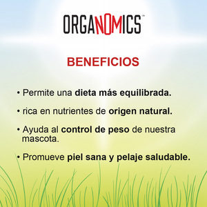 OrgaNOMics Alimento Húmedo con Ingredientes Orgánicos para Perro Adulto Receta Salmón y Pato, 354 g